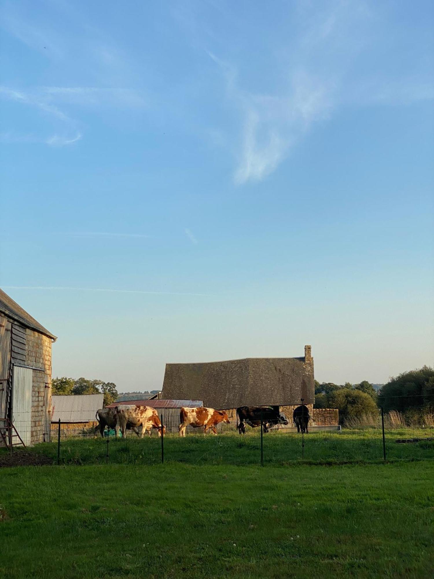 Entire Farm House Stay, La Gerouardiere Barenton Kültér fotó